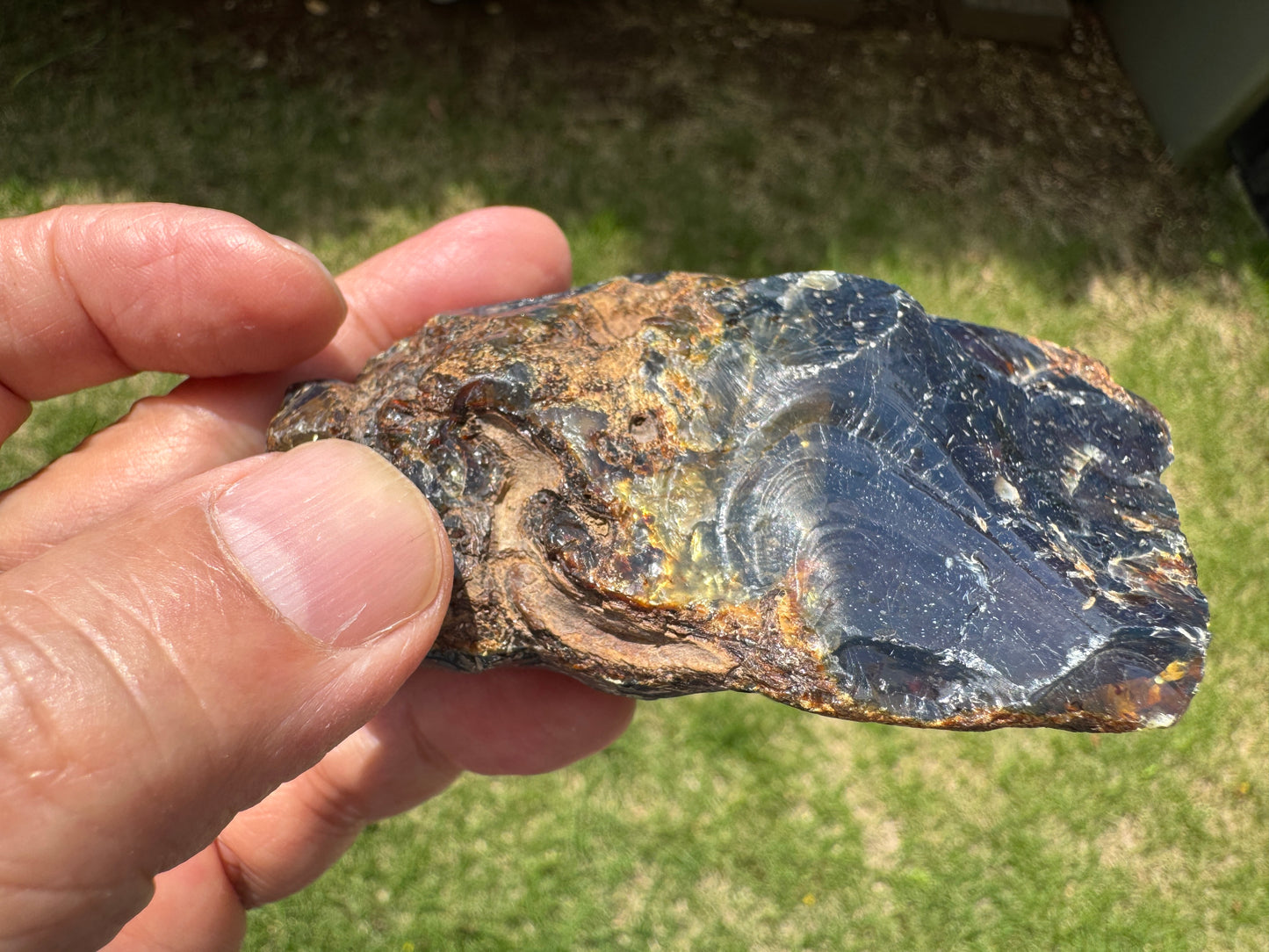 くっきりとした流線型の模様と、内部に埋もれた植物のような構造が見えるブルーアンバー原石。自然が描いた抽象画のような造形。