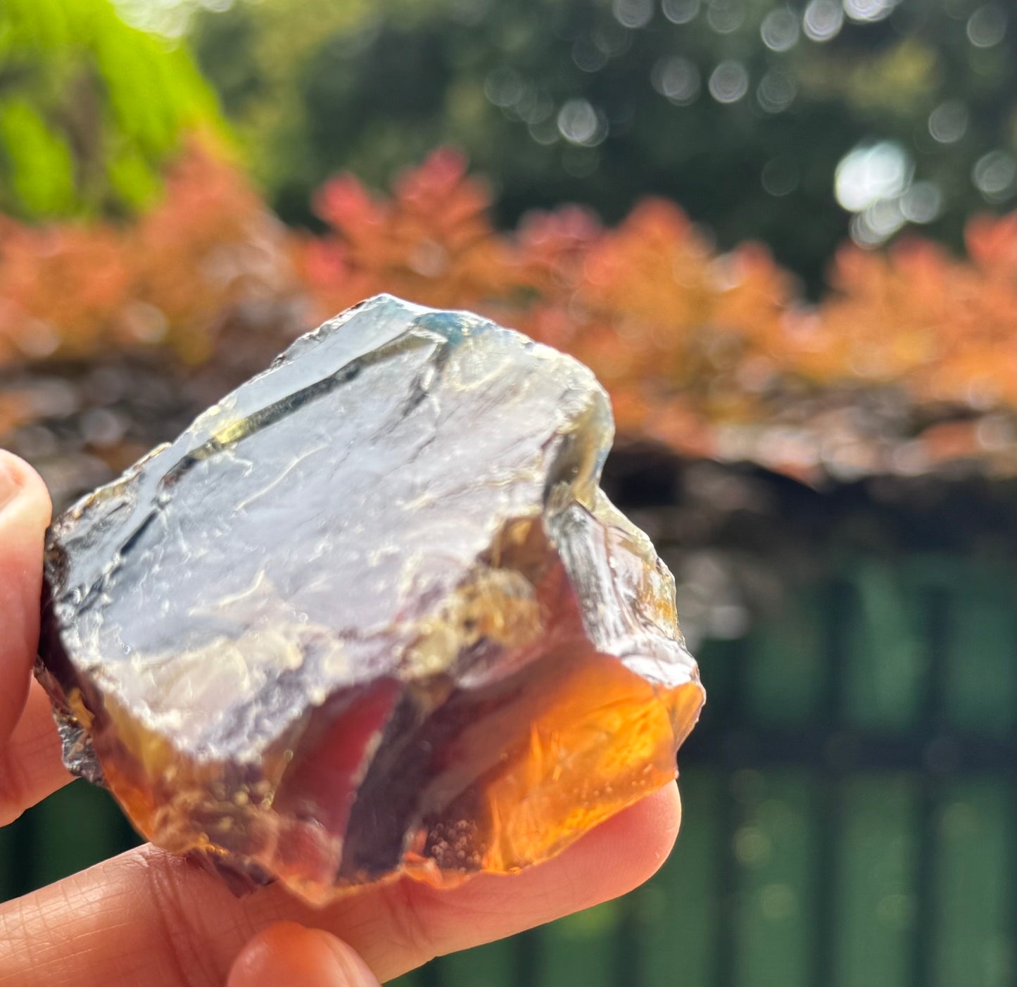 逆光の中で透けるブルーアンバー。透明感のある端から、柔らかなオレンジ色が光に照らされ、温かみのある印象。