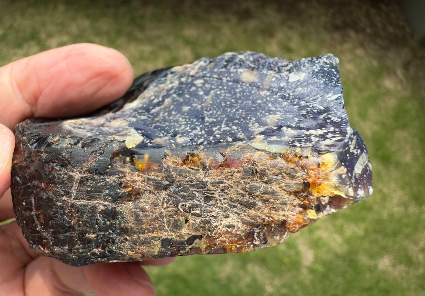 茶色〜黄色の層が外周に見え、透明感のある部分から奥行きが感じられる断面。