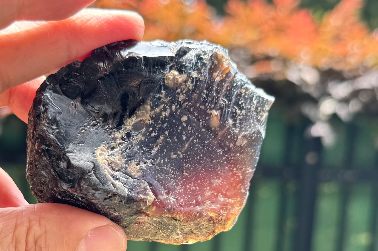 光を透かして撮影されたブルーアンバー。赤紫が淡く浮かび、幻想的な雰囲気。