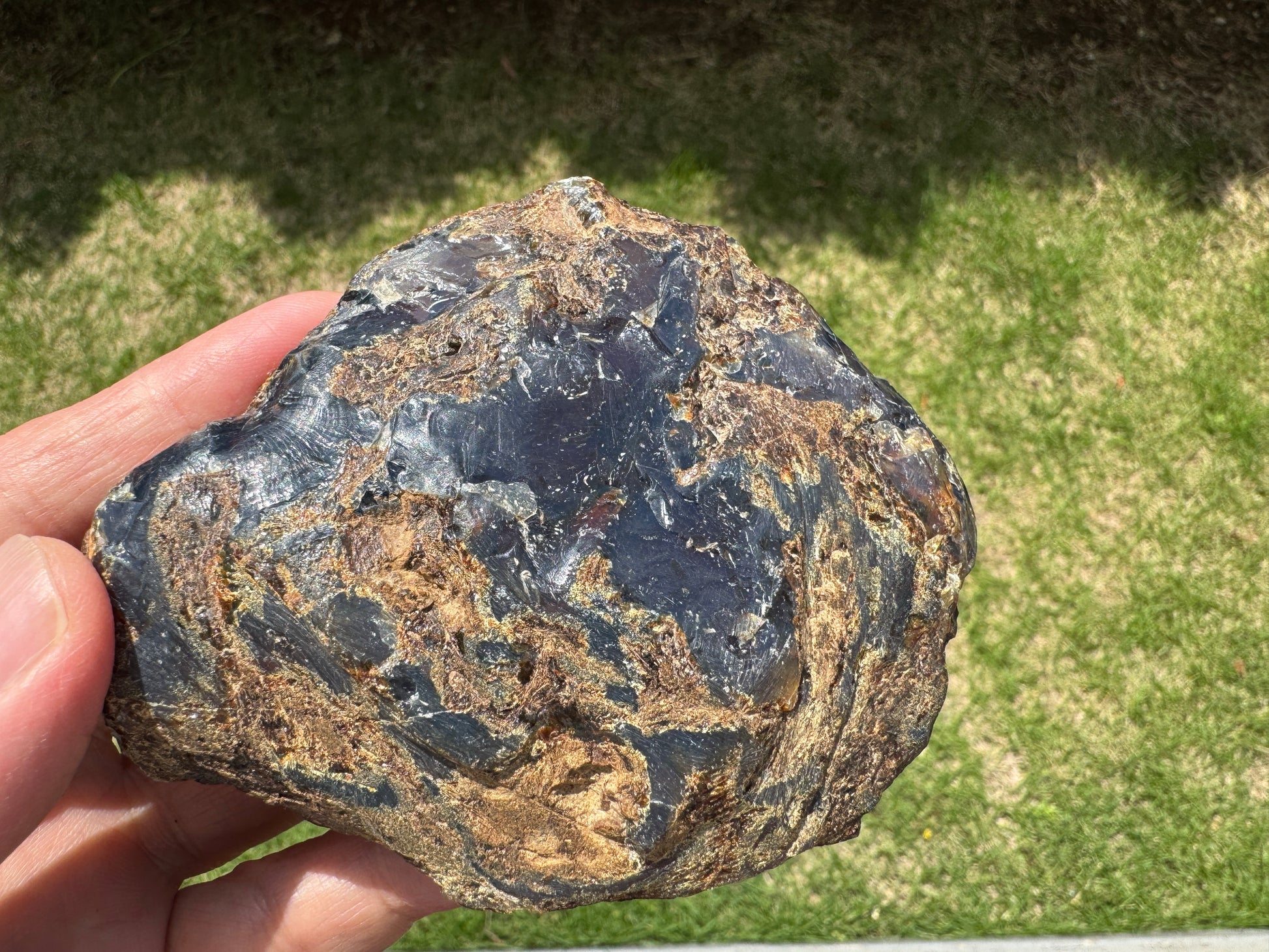 ブルーアンバー原石の表面に、まるで年輪のように渦巻く模様と茶褐色の植物片が広がる。太古の森の名残を感じさせる一面。